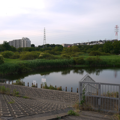市民のオアシス 長津川調節池