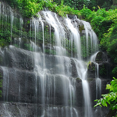 名水百選　十日市場・夏狩湧水群