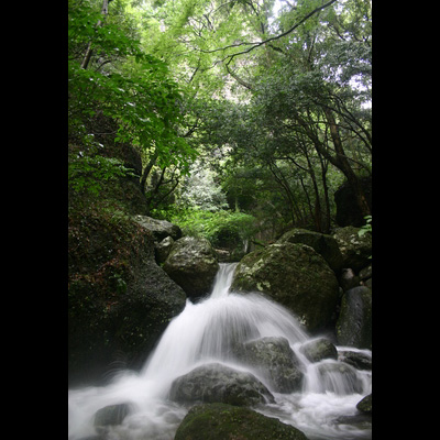 「名水百選」「水源の森百選」