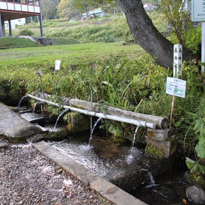 葉山の冷たい湧水